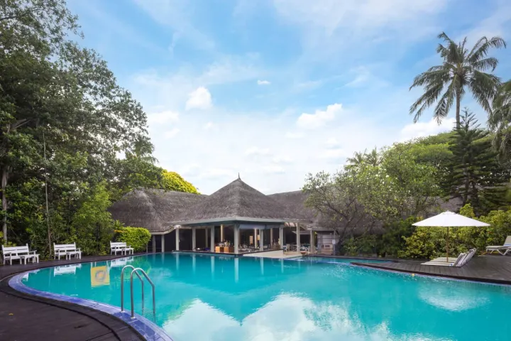 Adaaran Select Hudhuranfushi, Мальдивы — бассейн Adaaran Select Hudhuranfushi — большой бассейн прямоугольной формы в окружении пальм