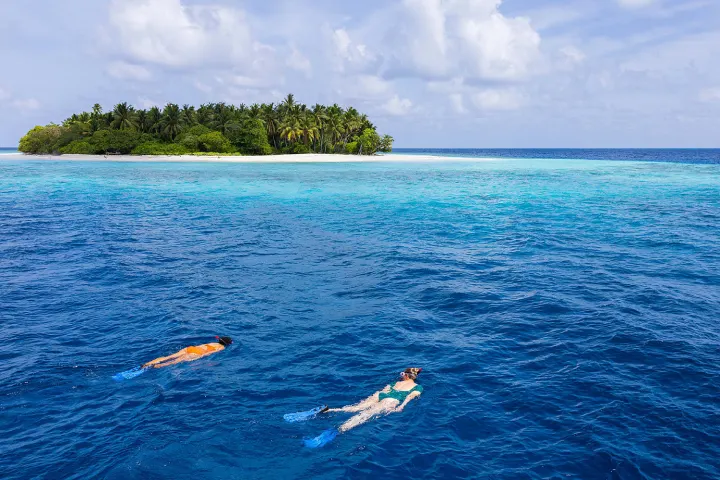 Avani+ Fares Maldives Resort — снорклинг над живым коралловым рифом в прозрачной воде