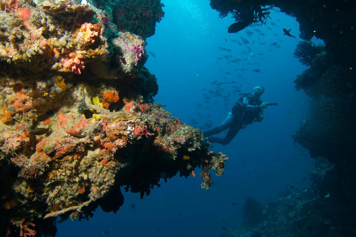 Baros Maldives — подводный мир и коралловый риф