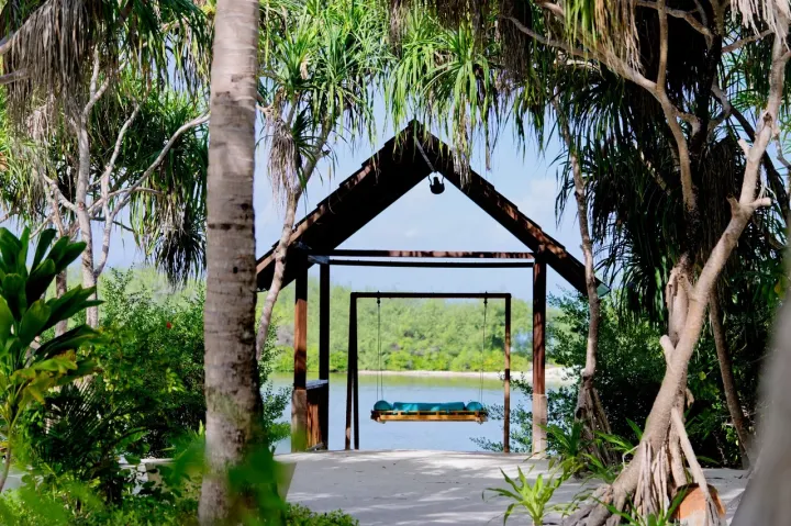 Canareef Resort Maldives, Мальдивы — пляж Canareef Resort Maldives — качели у воды на живописном берегу в окружении пальм