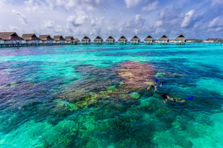 Centara Grand Island Resort & Spa Maldives, Мальдивы — риф Centara Grand Island Resort & Spa Maldives — плавание с маской над живописным коралловым рифом в океане
