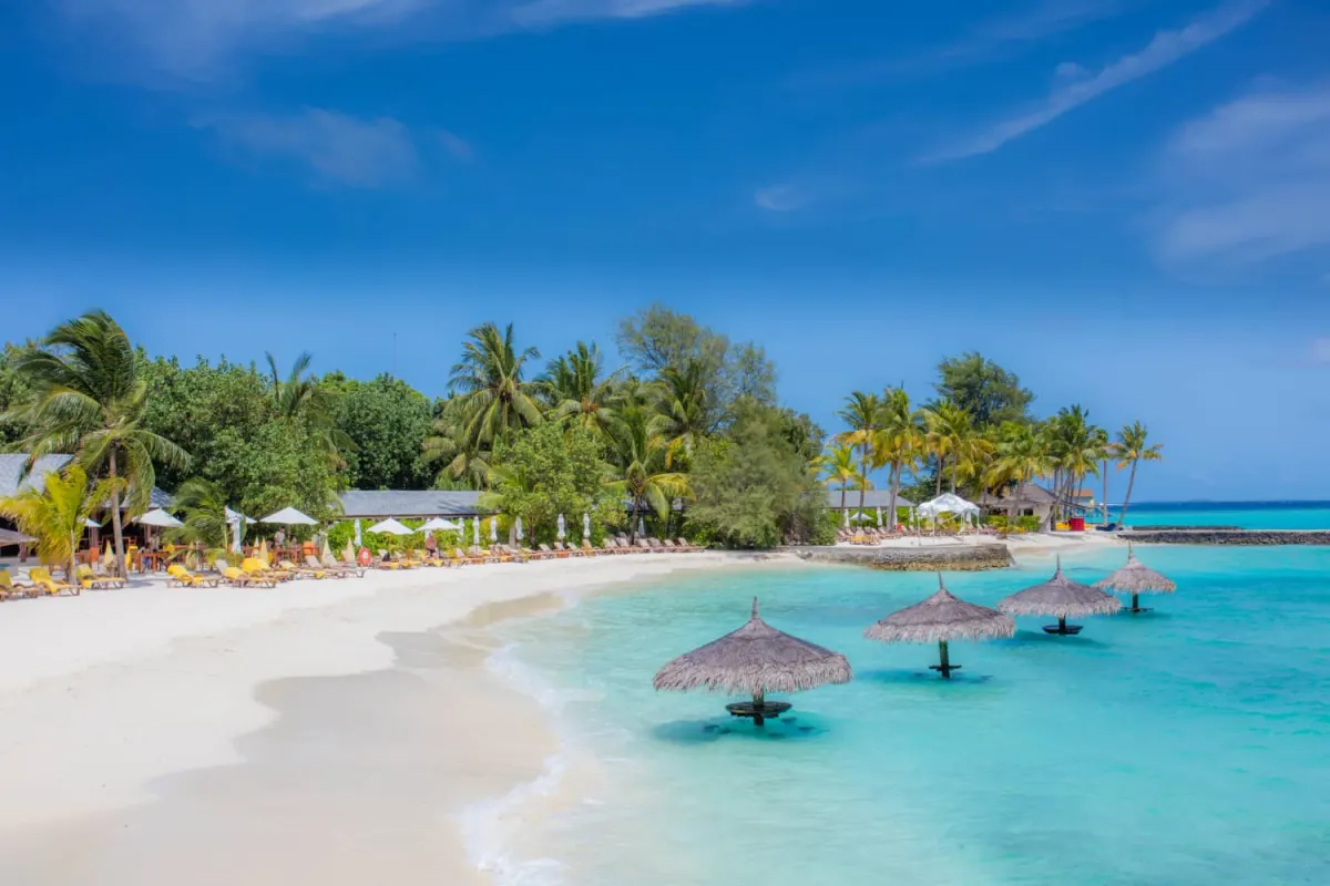 Centara Ras Fushi Resort & Spa Maldives — белоснежный песчаный пляж с шезлонгами под тростниковыми зонтиками