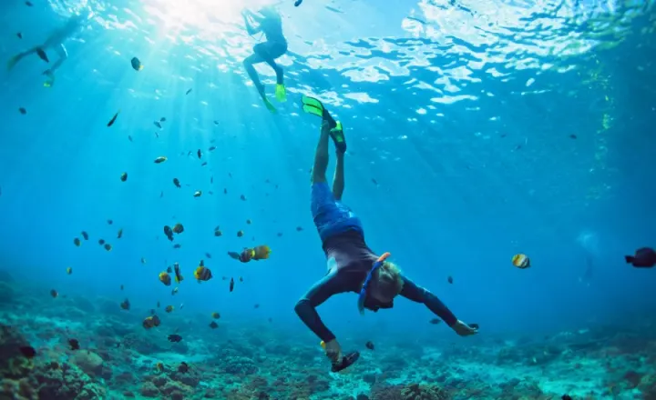 Cinnamon Hakuraa Huraa Maldives, Мальдивы — риф Cinnamon Hakuraa Huraa Maldives — плавание под водой с маской среди стай коралловых рыб