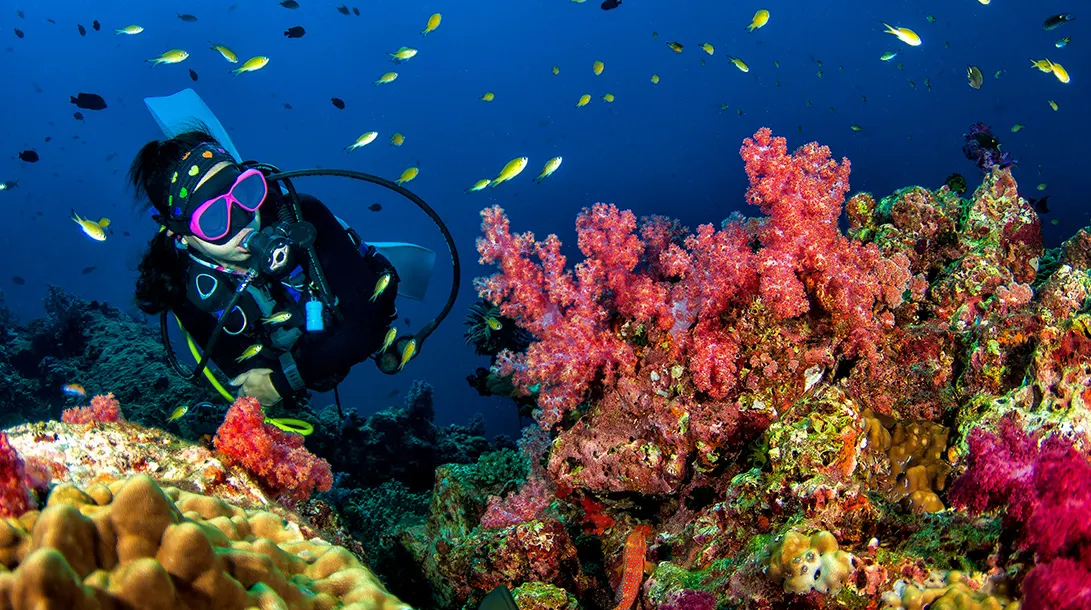 Cinnamon Velifushi Maldives — дайвер у красивого кораллового рифа под водой