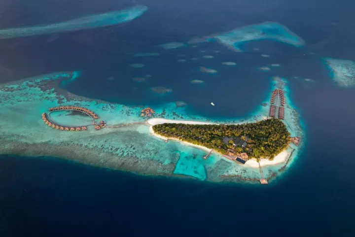 Coco Bodu Hithi, Мальдивы — пляж Coco Bodu Hithi — белоснежный песчаный пляж с кокосовыми пальмами у бирюзовой лагуны