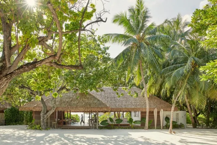 Cocoa Island by COMO — ресторанная веранда под деревьями на берегу пляжа
