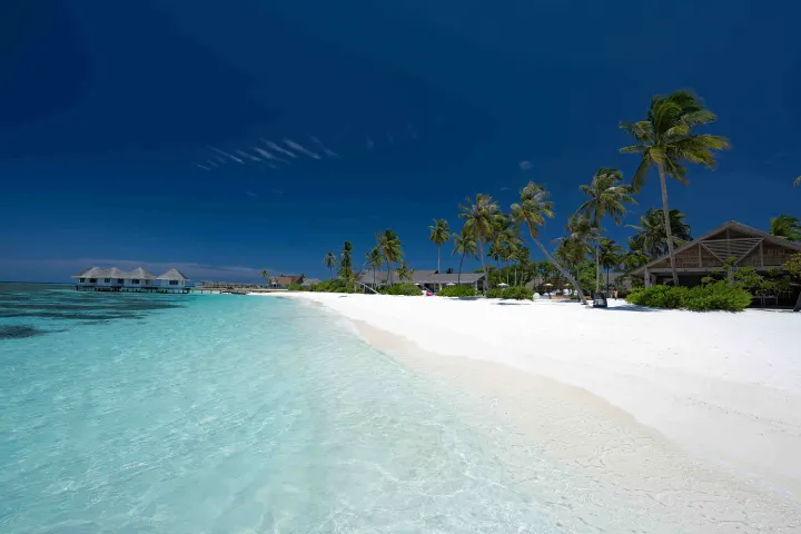 Cora Cora Maldives — чистейший пляж с белым песком