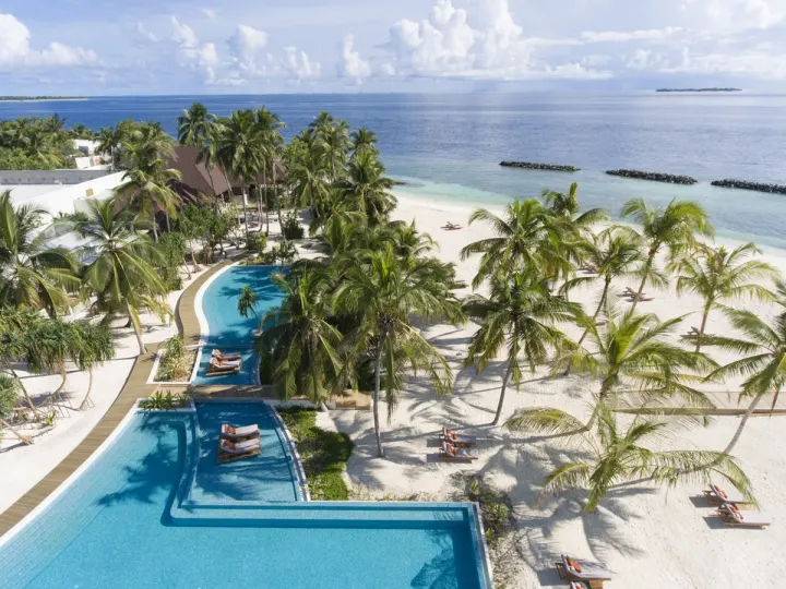 Dhigali Maldives — бассейн среди пальм сверху