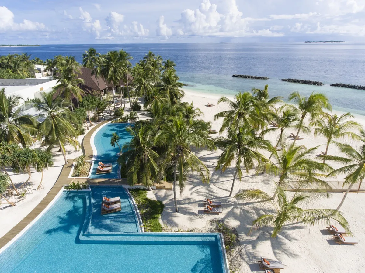 Dhigali Maldives — бассейн среди пальм сверху
