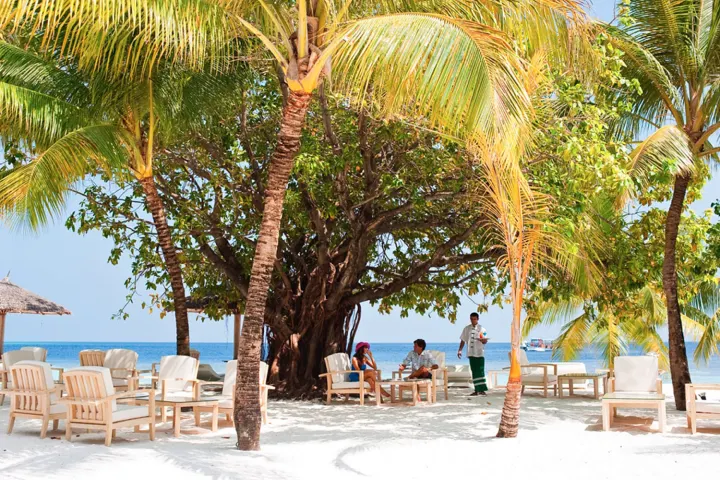 Diamonds Athuruga Maldives, Мальдивы — бар Diamonds Athuruga Maldives — открытый бар на песчаном пляже в тени пальм для отдыха в течение дня