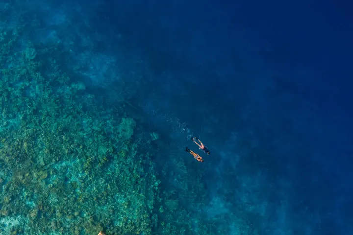 Emerald Faarufushi Resort & Spa, Мальдивы — риф Emerald Faarufushi Resort & Spa — сноркелинг на домашнем рифе
