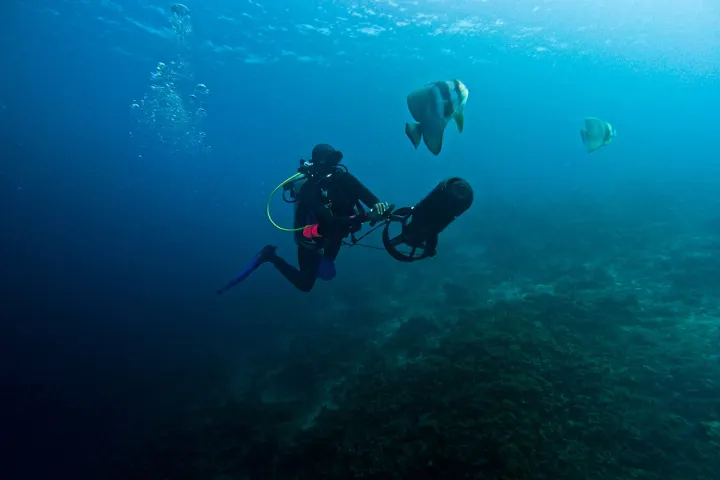 Fihalhohi Maldives, Мальдивы — риф Fihalhohi Maldives — подводный мир домашнего рифа с тропическими рыбами и кораллами