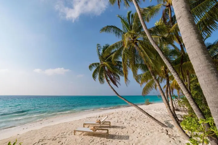 Fiyavalhu Maldives, Мальдивы — развлечения Fiyavalhu Maldives — вечерний отдых и сервировка ужина на песчаном берегу океана