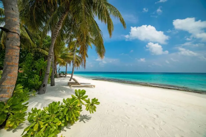 Fiyavalhu Maldives, Мальдивы — ванная Fiyavalhu Maldives — полуоткрытая ванная комната с тропическим душем на свежем воздухе
