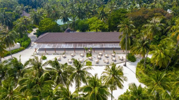 Fiyavalhu Maldives, Мальдивы — вилла на пляже Fiyavalhu Maldives — береговая вилла в тени тропических деревьев рядом с пляжем