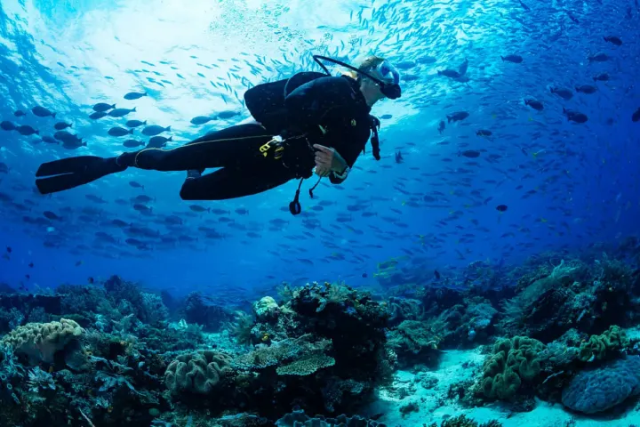 Hilton Maldives Amingiri Resort & Spa — песчаный пляж с прозрачной бирюзовой водой и тропическими пальмами
