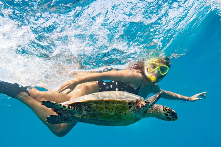 Hilton Maldives Amingiri Resort & Spa — коралловый риф и прозрачные воды лагуны для снорклинга и дайвинга