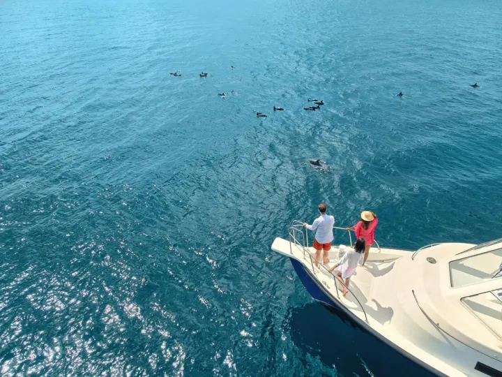 Kandima Maldives — морская прогулка и наблюдение за дельфинами