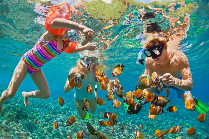 Kihaa Maldives — снорклинг всей семьей с рыбками