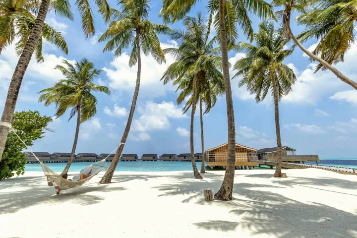 Kudadoo Maldives Private Island — плетеный гамак между пальмами на белоснежном пляже