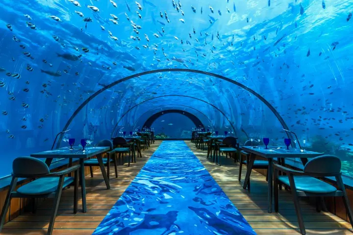 Kudadoo Maldives Private Island — подводный ресторан с панорамным обзором морской жизни