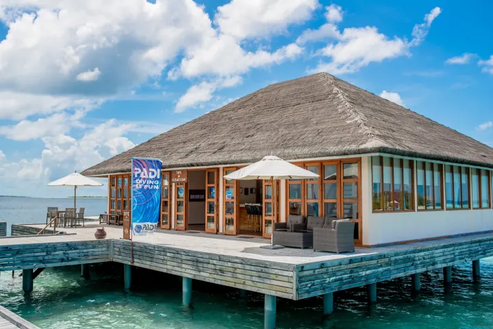 Kudafushi Resort & Spa, Мальдивы — риф Kudafushi Resort & Spa — богатый подводный мир домашнего кораллового рифа