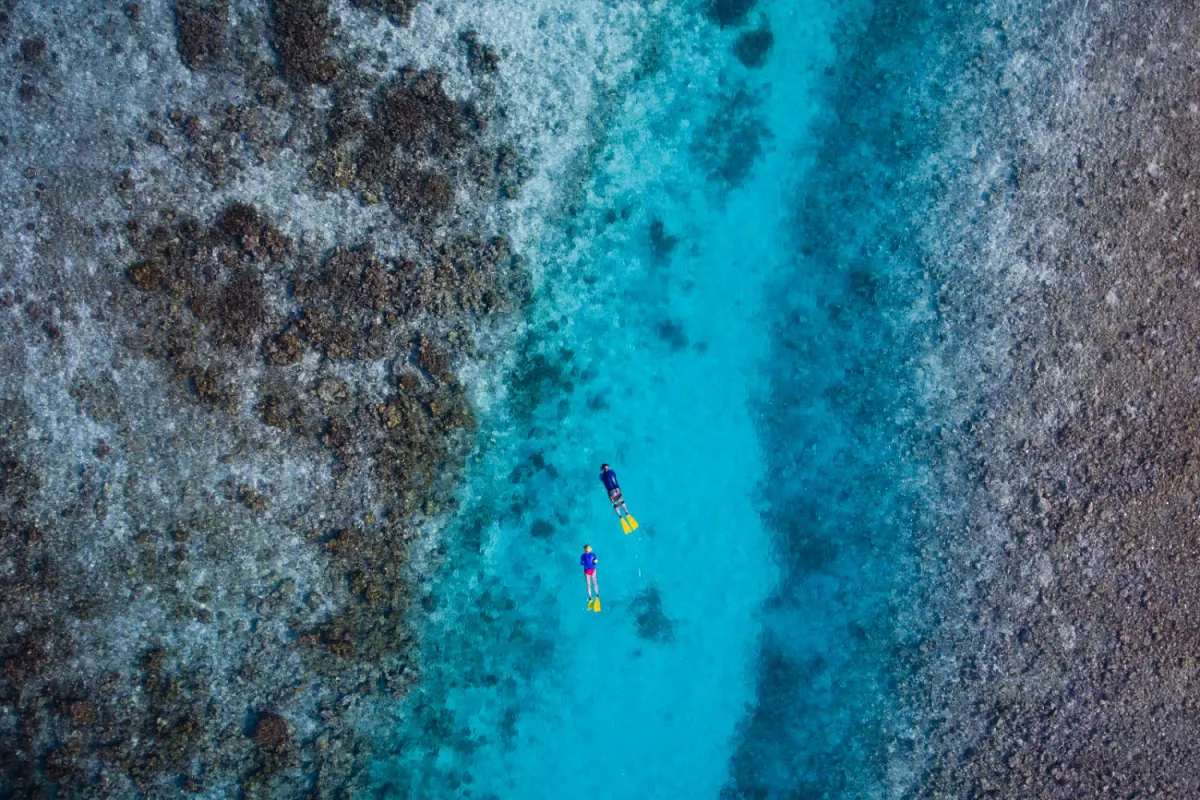 кромка рифа и снорклеры в бирюзовой воде, вид сверху — Lily Beach Resort & Spa
