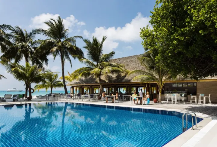 Meeru Island Resort & Spa — большой бассейн свободной формы рядом с баром