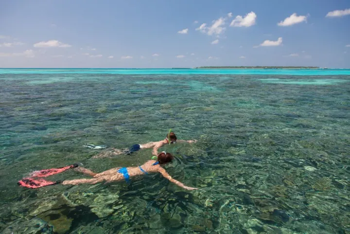 Meeru Island Resort & Spa — гости плавают с масками над домашним рифом