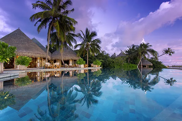 Milaidhoo Island Maldives — большой пейзажный бассейн на фоне тропических пальм