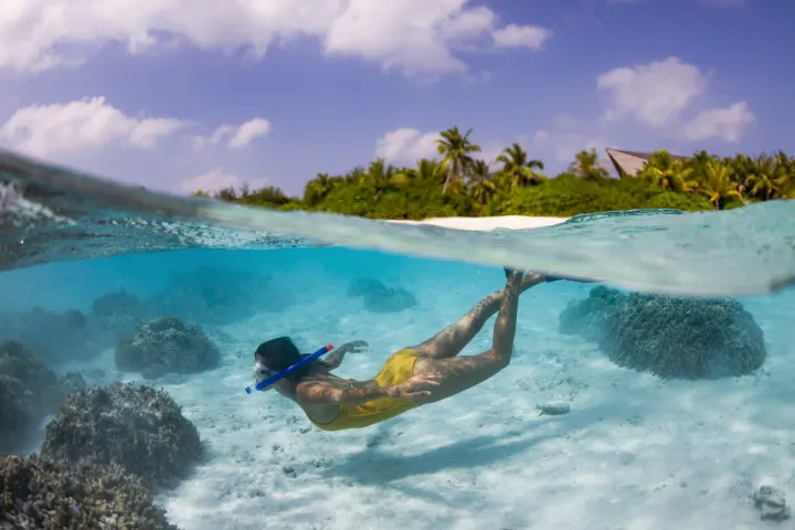 Mövenpick Resort Kuredhivaru Maldives, Мальдивы — развлечения Mövenpick Resort Kuredhivaru Maldives — снорклинг на домашнем рифе