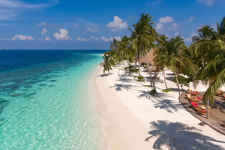 Reethi Faru Resort — белый пляж с пальмами у бирюзовой воды