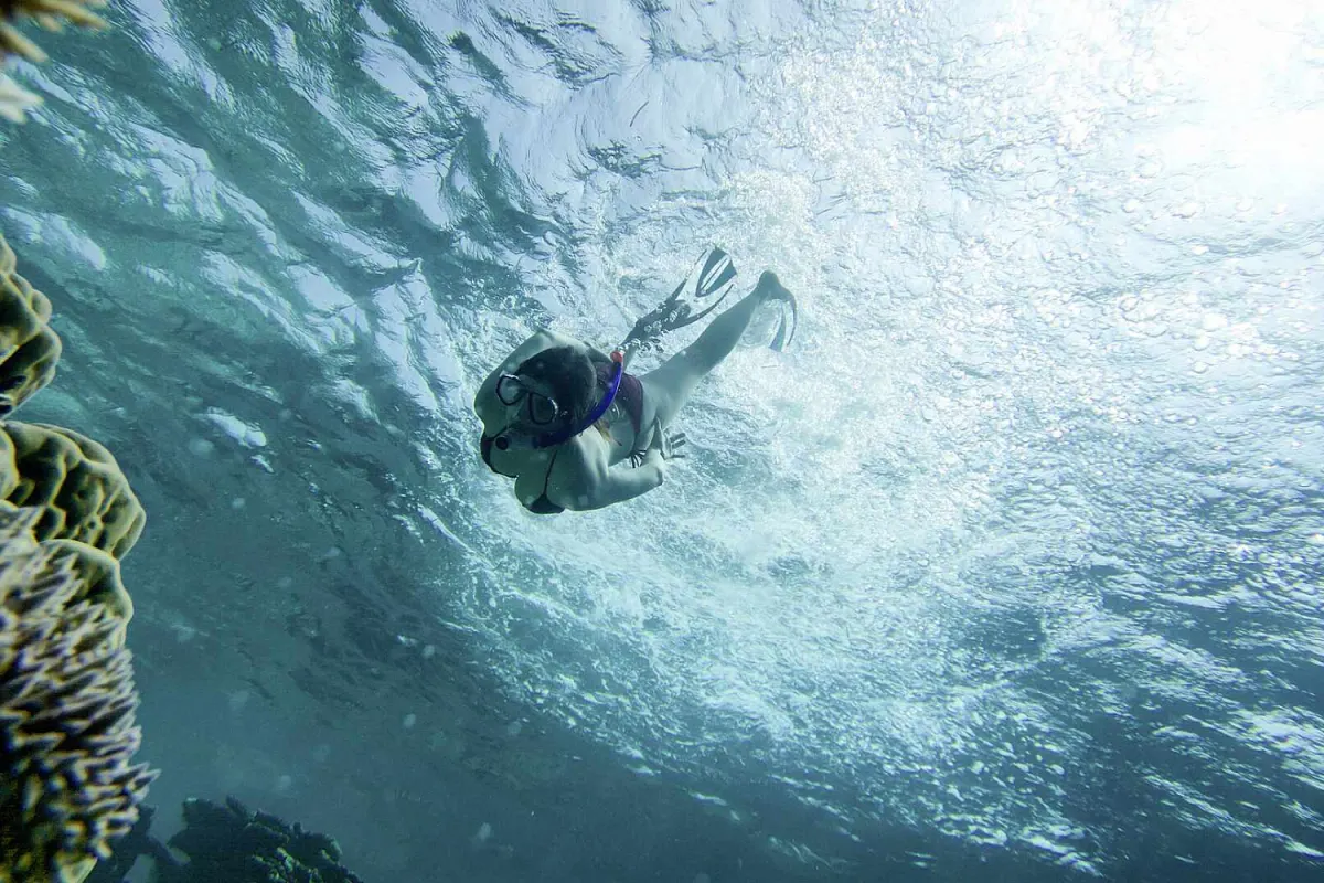 дайвер под водой у кораллового рифа — Robinson Club Maldives