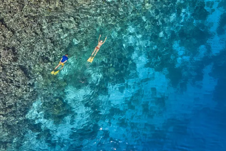 Robinson Club Maldives — снорклинг в прозрачной воде над коралловым рифом
