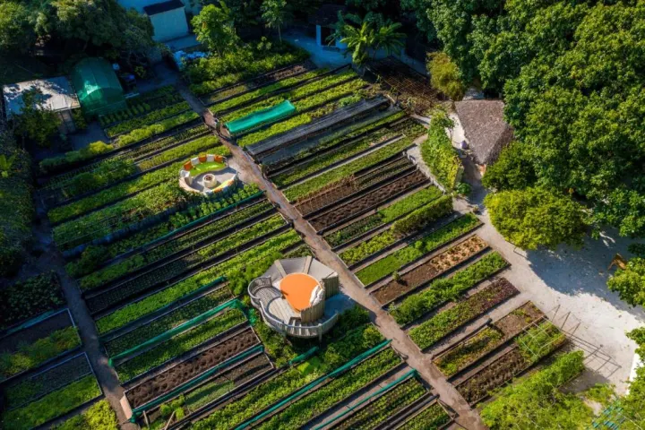 Soneva Fushi — зеленые огороды и сады на территории отеля