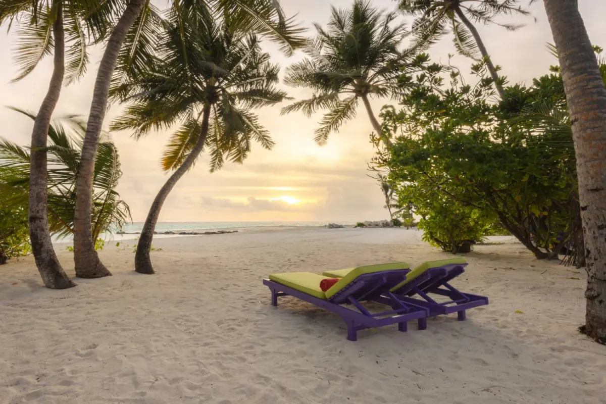 шезлонги на пляже под пальмами на закате — Sun Island Resort & Spa (Villa Park)