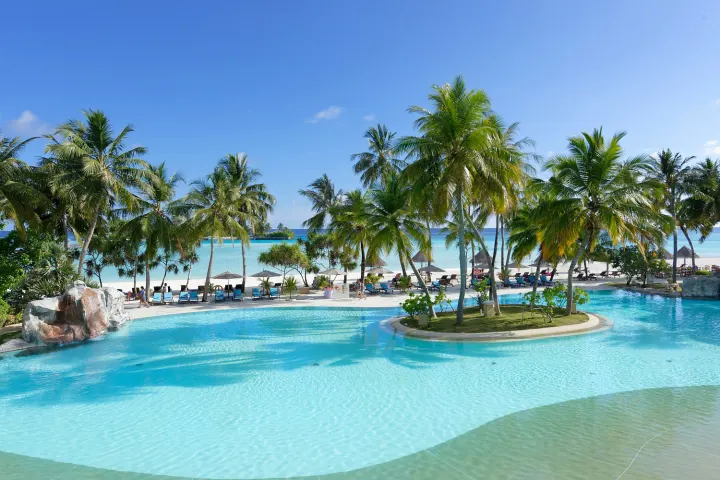 Sun Island Resort & Spa (Villa Park), Мальдивы — бассейн Sun Island Resort & Spa (Villa Park) — большой бассейн в окружении пальм у пляжа