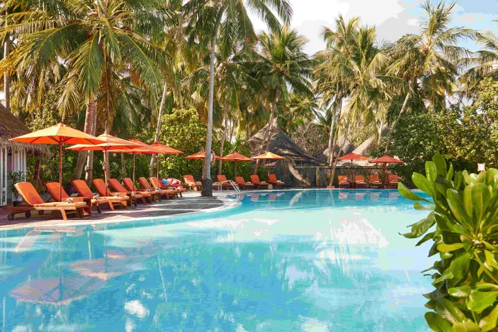 Sun Siyam Vilu Reef, Мальдивы — бассейн Sun Siyam Vilu Reef — главный бассейн отеля в окружении пальм