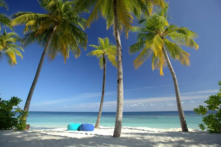 V Villas Maldives at Mirihi — белоснежный песчаный пляж с мягким коралловым песком и пальмами у воды