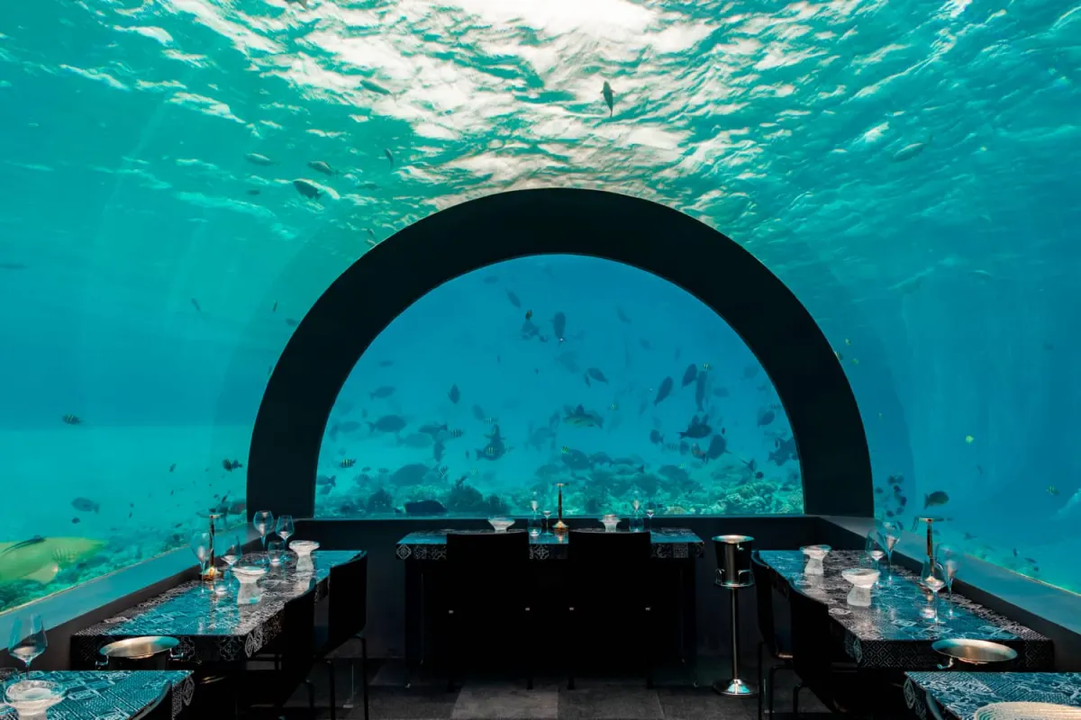You & Me by Cocoon Maldives — уникальный подводный ресторан с панорамными стеклами и видом на риф